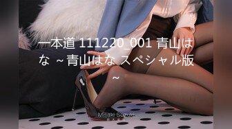 一本道 111220_001 青山はな ～青山はな スペシャル版～