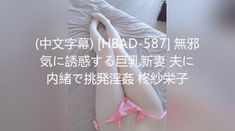 (中文字幕) [HBAD-587] 無邪気に誘惑する巨乳新妻 夫に内緒で挑発淫姦 柊紗栄子