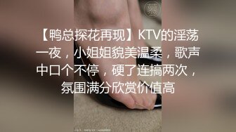 【鸭总探花再现】KTV的淫荡一夜，小姐姐貌美温柔，歌声中口个不停，硬了连搞两次，氛围满分欣赏价值高