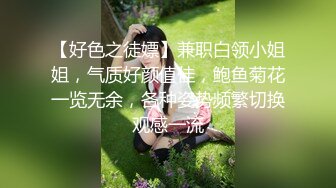 【好色之徒嫖】兼职白领小姐姐，气质好颜值佳，鲍鱼菊花一览无余，各种姿势频繁切换观感一流