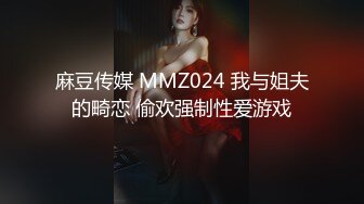 麻豆传媒 MMZ024 我与姐夫的畸恋 偷欢强制性爱游戏