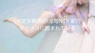 (中文字幕)熱烈淫写NTR 家内がカメコに囲まれている