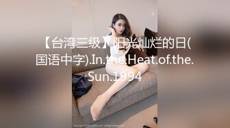 【台湾三级】阳光灿烂的日(国语中字).In.the.Heat.of.the.Sun.1994