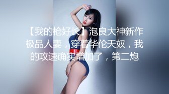 【我的枪好长】泡良大神新作极品人妻，穿着华伦天奴，我的攻速确实增加了，第二炮