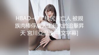 HBAD-473 桃尻未亡人 被親族肉棒俘虜人生最大的追擊昇天 宮川亞里沙[中文字幕]