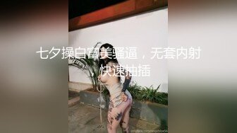 七夕操白富美骚逼，无套内射，快速抽插