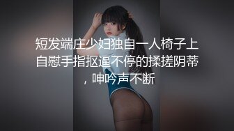 短发端庄少妇独自一人椅子上自慰手指抠逼不停的揉搓阴蒂，呻吟声不断