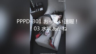 PPPD-301 おっぱい速報！！03 水咲あかね