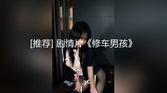 [推荐] 剧情片《修车男孩》