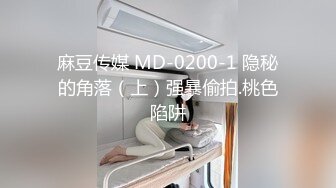 麻豆传媒 MD-0200-1 隐秘的角落（上）强暴偷拍.桃色陷阱