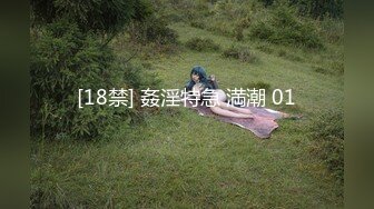 [18禁] 姦淫特急 満潮 01