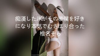 痴漢したJKがその後僕を好きになり本気でむさぼり合った 椎名そら