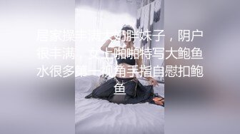 居家操丰满大奶胖妹子，阴户很丰满，女上啪啪特写大鲍鱼水很多第一视角手指自慰扣鲍鱼