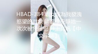 HBAD-384 繼女成為我發洩慾望的對象 就這樣安靜地一次次被我侵犯 井上真帆【中文字幕】