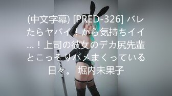 (中文字幕) [PRED-326] バレたらヤバイ！から気持ちイイ…！上司の彼女のデカ尻先輩とこっそりハメまくっている日々。 堀内未果子