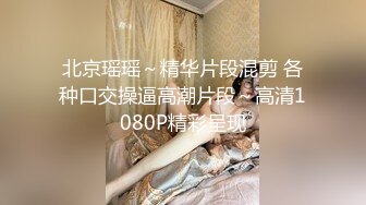 北京瑶瑶～精华片段混剪 各种口交操逼高潮片段～高清1080P精彩呈现