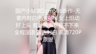 国产小奴隶DomSub新作-无套内射白色小猫咪 女上扭动好上头 羞耻的声音停不下来 全程淫语 国语对白 高清720P原版