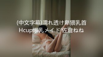 (中文字幕)濡れ透け卑猥乳首Hcup爆乳メイド 佐倉ねね