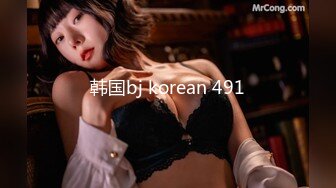 韩国bj korean 491