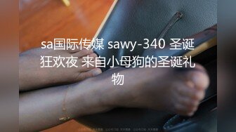 sa国际传媒 sawy-340 圣诞狂欢夜 来自小母狗的圣诞礼物