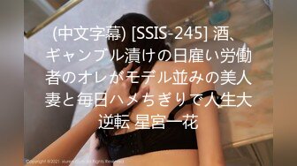 (中文字幕) [SSIS-245] 酒、ギャンブル漬けの日雇い労働者のオレがモデル並みの美人妻と毎日ハメちぎりで人生大逆転 星宮一花