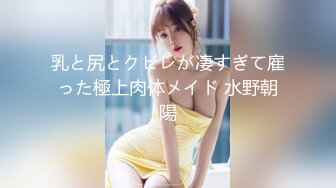 乳と尻とクビレが凄すぎて雇った極上肉体メイド 水野朝陽