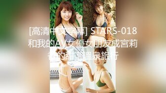 [高清中文字幕] STARS-018和我的AV女優女朋友成宮莉香的甜蜜溫泉旅行