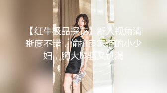 【红牛极品探花】新人视角清晰度不错，偷拍良家范的小少妇，胸大风骚又饥渴