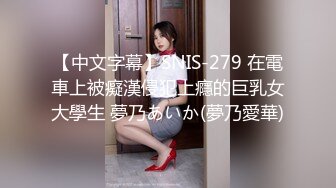 【中文字幕】SNIS-279 在電車上被癡漢侵犯上癮的巨乳女大學生 夢乃あいか(夢乃愛華)